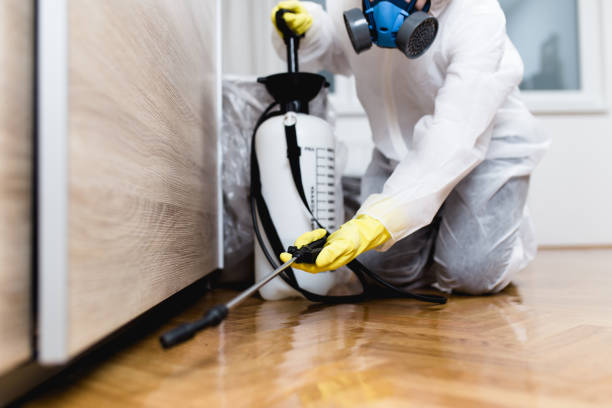 Best Pest Control Near Me  in White Sands, NM