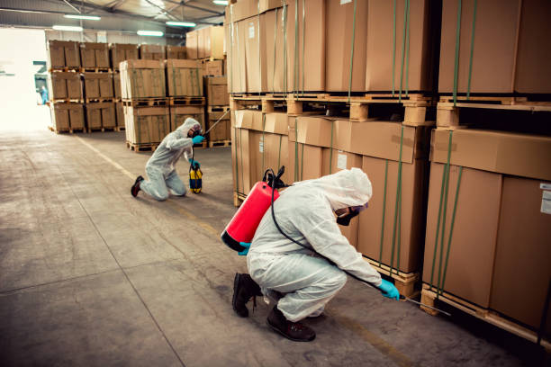 Best Affordable Pest Control Services  in White Sands, NM
