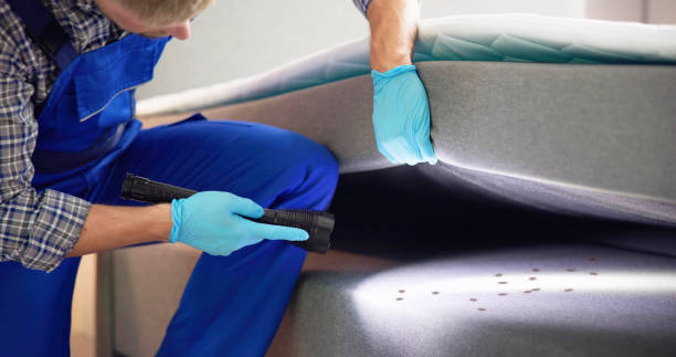 Best Pest Control Near Me in White Sands, NM