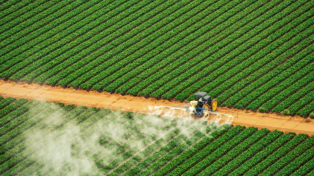 Best Pest Removal Services  in White Sands, NM