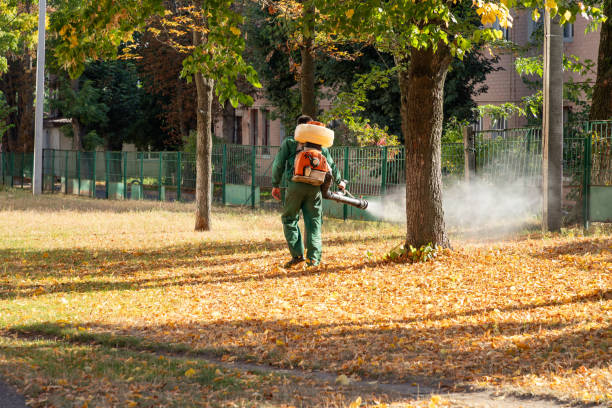 Best Insect Control  in White Sands, NM