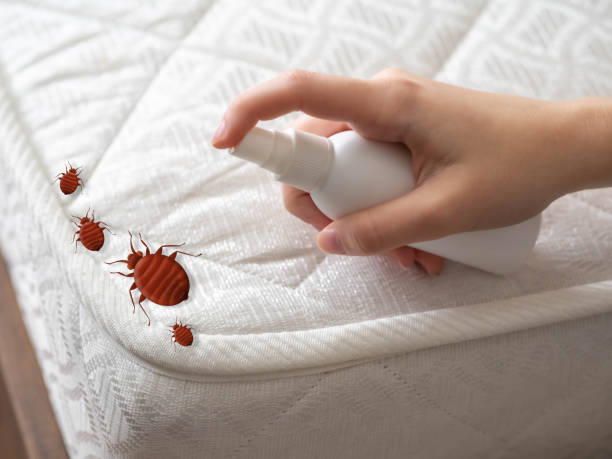 Best Commercial Pest Control Services  in White Sands, NM